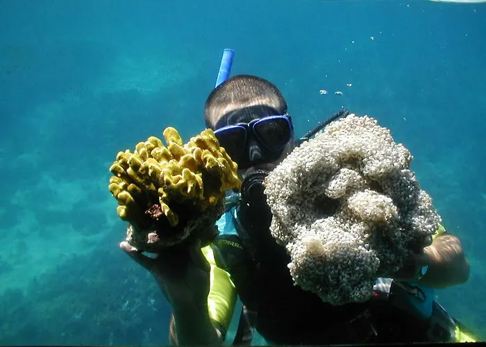 Come&stay פונאנט